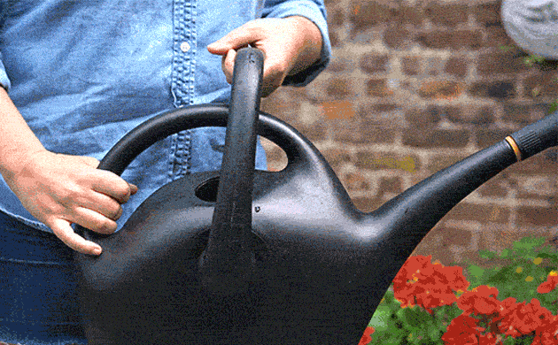 Tưới cây cảnh cũng lắm công phu, muốn cây tươi tốt hãy thuộc lòng 5 "khẩu quyết" này - Ảnh 1.