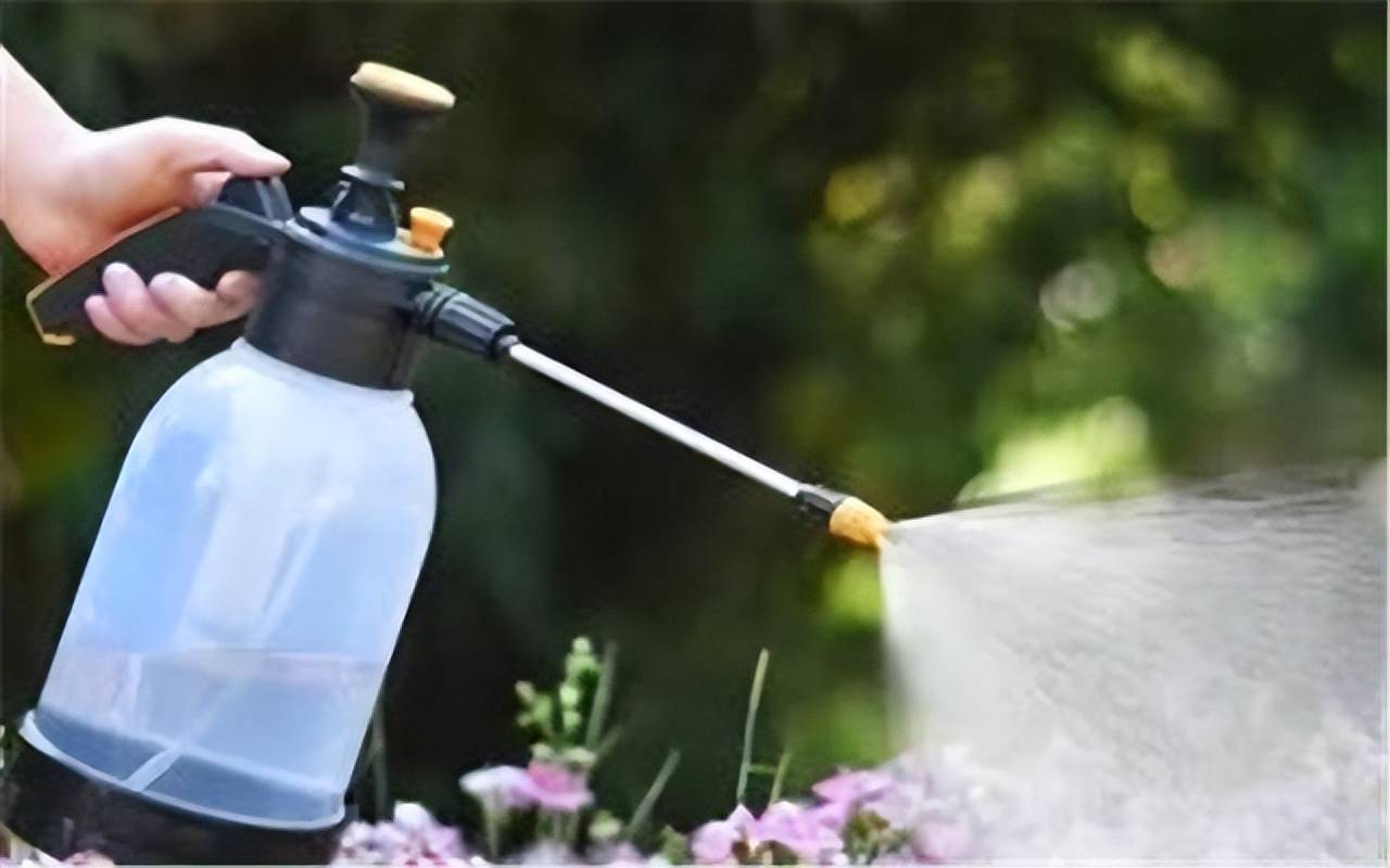 Tưới cây cảnh cũng lắm công phu, muốn cây tươi tốt hãy thuộc lòng 5 "khẩu quyết" này - Ảnh 8.