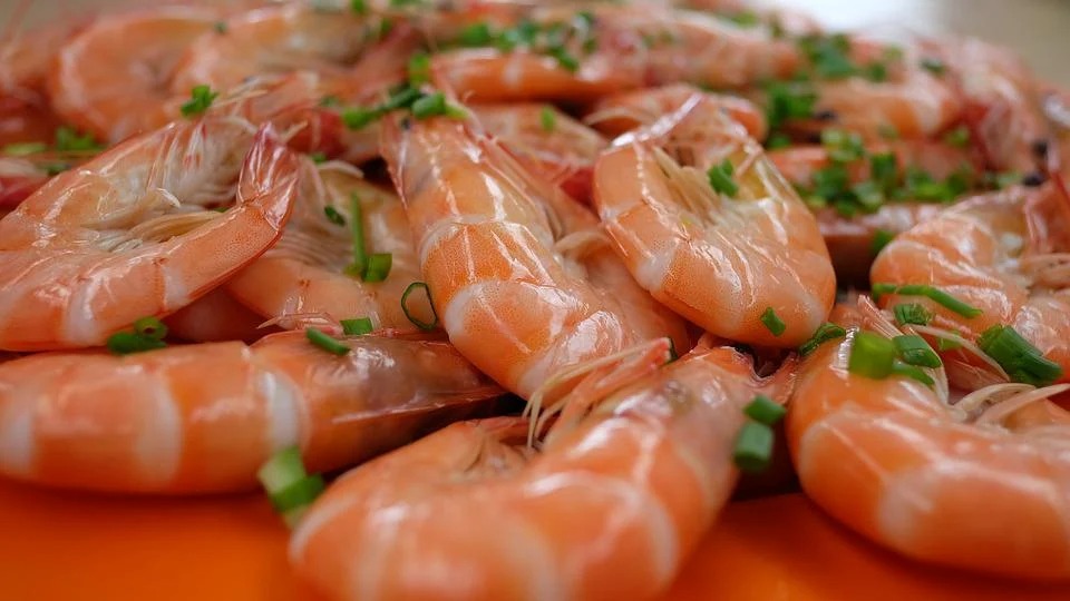 Tôm mua về đừng bỏ ngay vào tủ lạnh: Làm thêm 1 bước, tôm để cả tháng vẫn tươi, thịt chắc ngọt - Ảnh 3. Tôm mua về đừng bỏ ngay vào tủ lạnh: Làm thêm 1 bước, tôm để cả tháng vẫn tươi, thịt chắc ngọt - Ảnh 3.