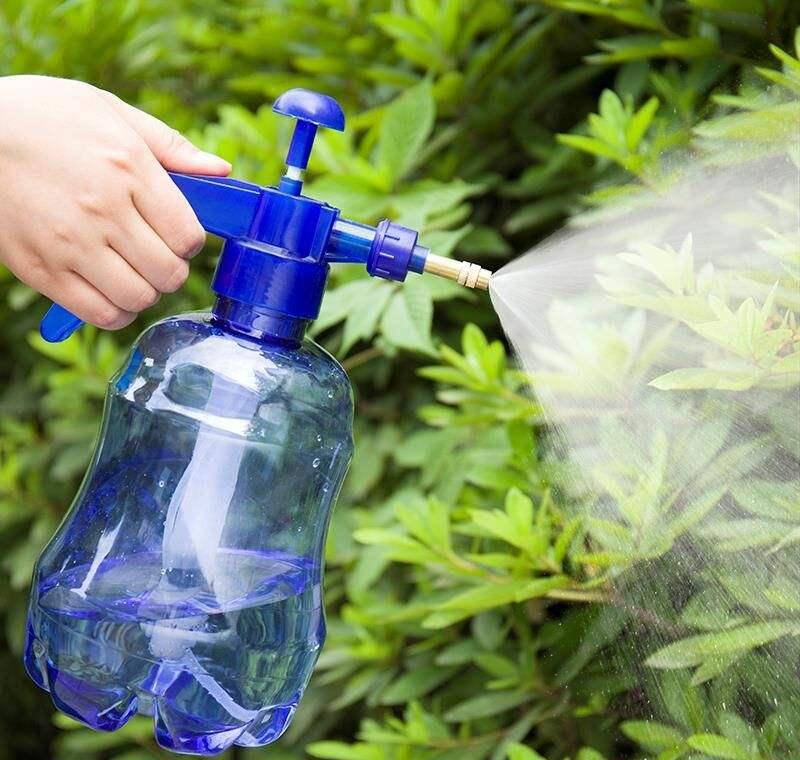 Tự chế "thần dược" diệt sâu bệnh cho cây cảnh, vừa an toàn lại hiệu quả  - Ảnh 4.