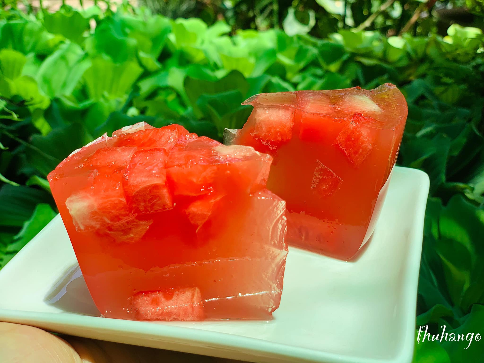 Làm thạch dưa hấu siêu mát lạnh, vừa ngon vừa đẹp, bé mê tít - Ảnh 4.