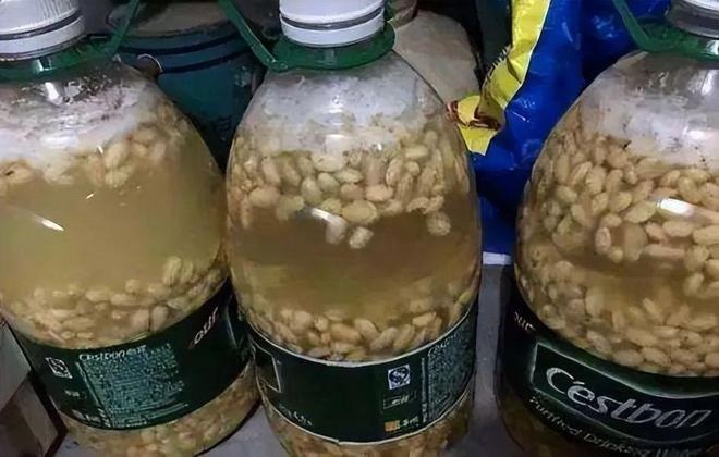 Dùng nước đậu nành để trồng hoa, làm tốt 2 điểm này hiệu quả gấp 10 lần - Ảnh 3. Dùng nước đậu nành để trồng hoa, làm tốt 2 điểm này hiệu quả gấp 10 lần - Ảnh 3.