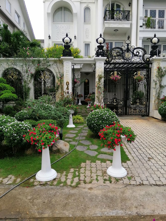 Trước cửa nhà có 2 thứ xanh mát này sẽ đánh thức kho tài lộc, cả nhà gặp may - Ảnh 1. Trước cửa nhà có 2 thứ xanh mát này sẽ đánh thức kho tài lộc, cả nhà gặp may - Ảnh 1.