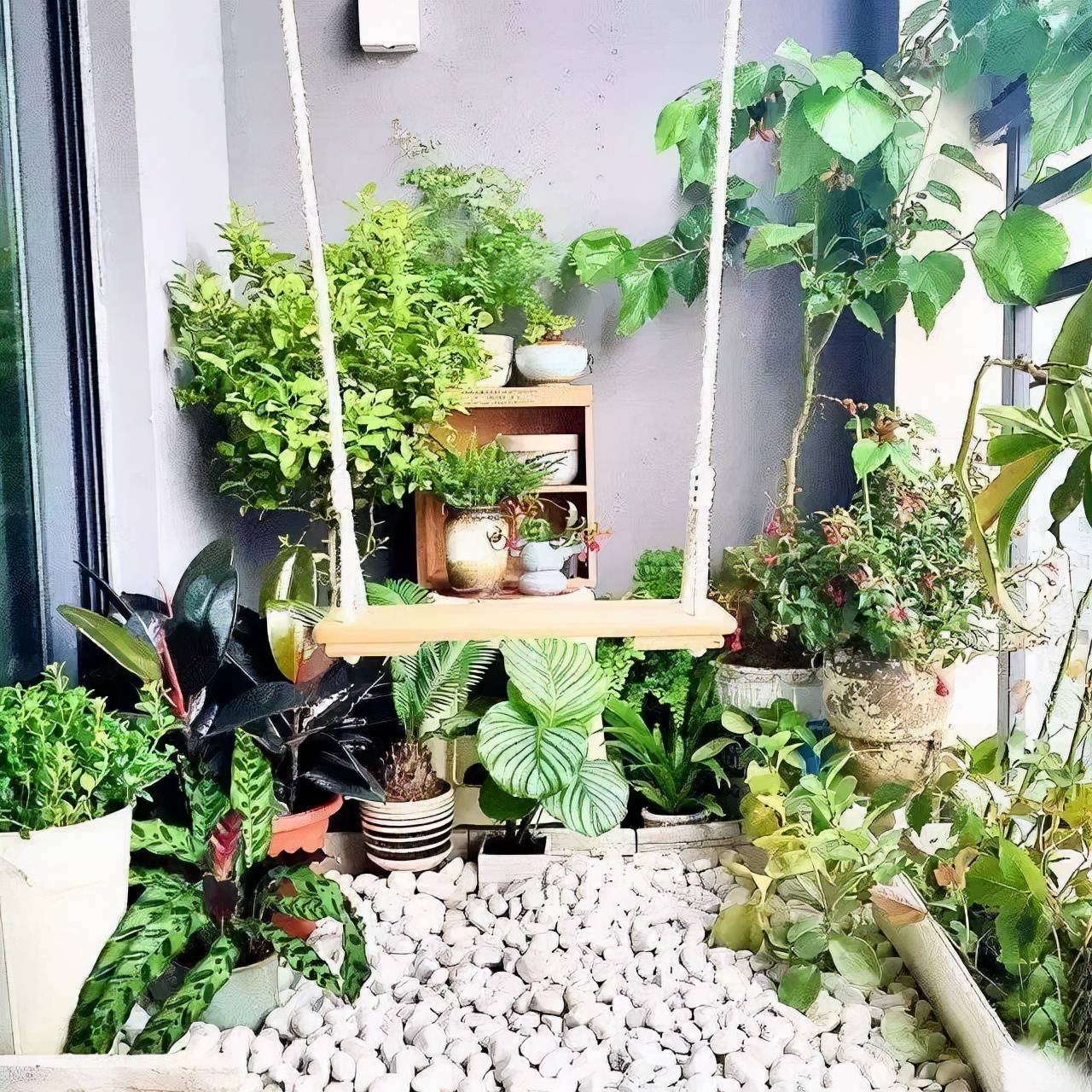 5 hiểu lầm khi trồng cây cảnh, thảo nào cây cảnh còi cọc, cằn cỗi, càng chăm càng chết - Ảnh 1.