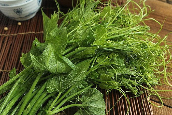 Xào rau su su theo công thức này: Món ăn xanh mướt giòn sần sật, ngon như đầu bếp 5 sao nấu - Ảnh 1. Xào rau su su theo công thức này: Món ăn xanh mướt giòn sần sật, ngon như đầu bếp 5 sao nấu - Ảnh 1.