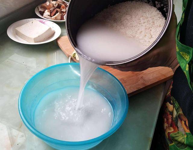 Không cần tốn tiền mua phân bón cây cảnh, tưới đủ 4 loại nước này, đất thêm màu mỡ, hoa nở rực rỡ - Ảnh 6.