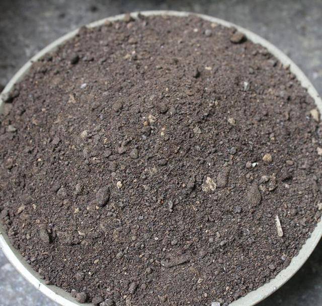 Không cần tốn tiền mua phân bón cây cảnh, tưới đủ 4 loại nước này, đất thêm màu mỡ, hoa nở rực rỡ - Ảnh 7.