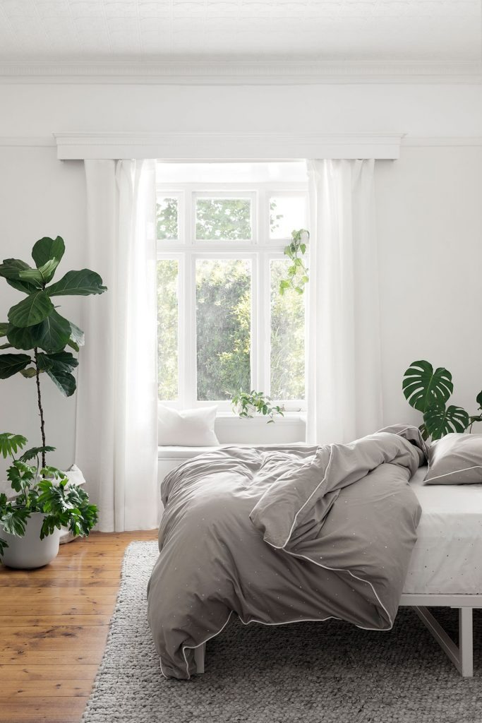 3 lợi ích của việc để cây trong phòng ngủ của bạn - Ảnh 4. 3 lợi ích của việc để cây trong phòng ngủ của bạn - Ảnh 4.