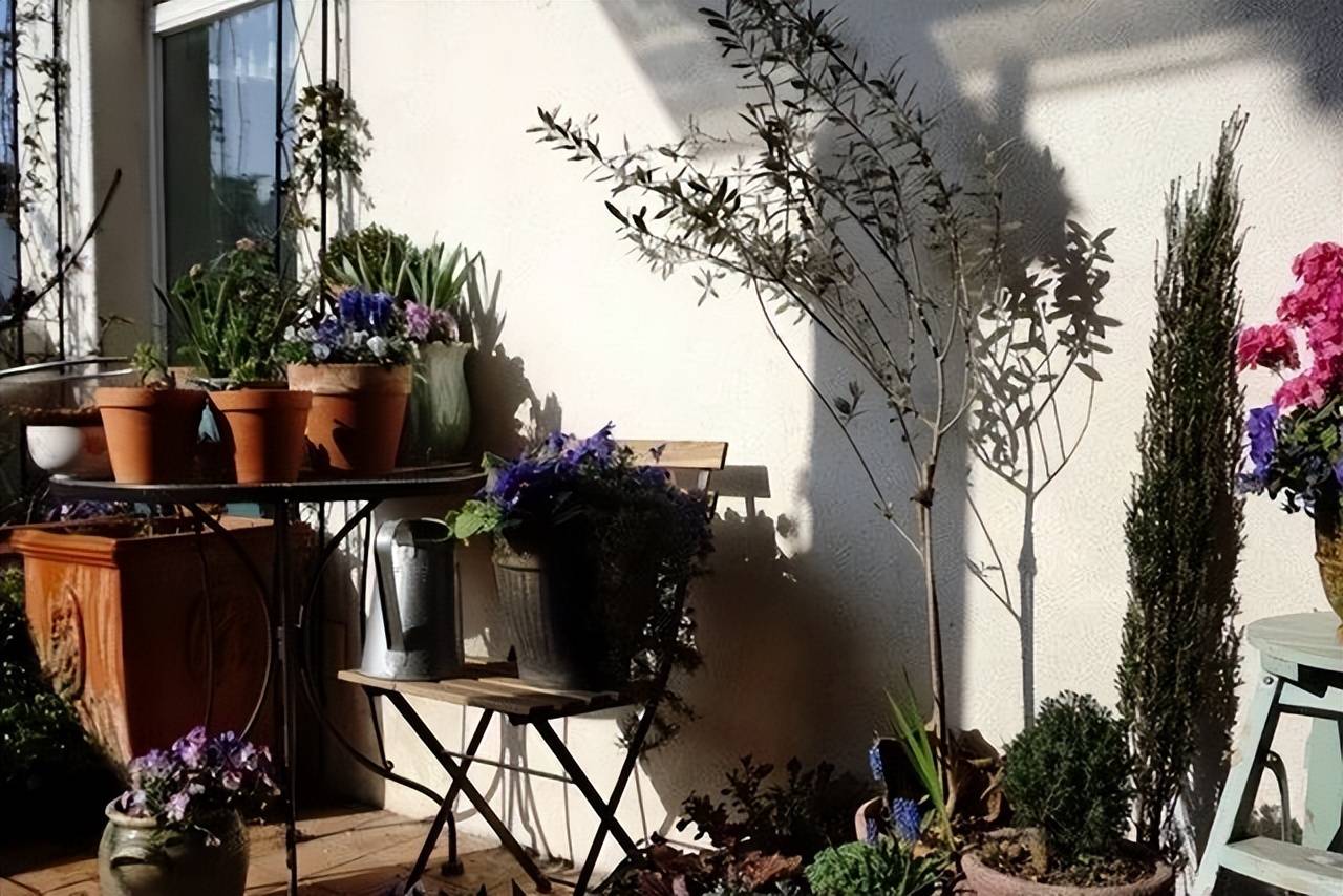 Quý bà dành 3 năm trồng cây cảnh, biến sân thượng bỏ hoang thành khu vườn thơm ngào ngạt - Ảnh 8.