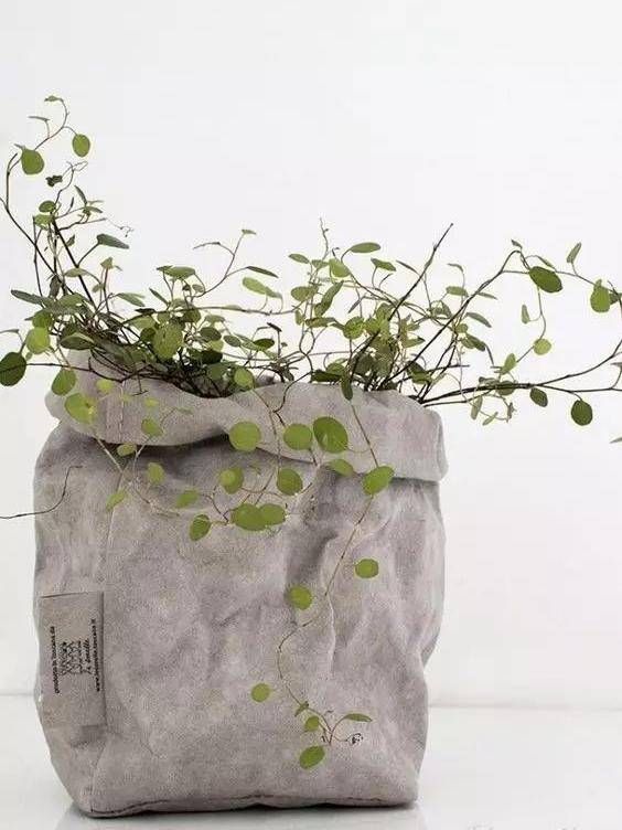 Trồng cây cảnh trong nhà cứ thấy xấu xấu, đó là vì bạn đã bỏ qua phụ kiện quan trọng này - Ảnh 3.