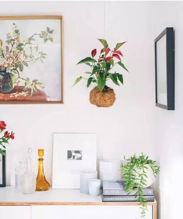 Trồng cây cảnh trong nhà cứ thấy xấu xấu, đó là vì bạn đã bỏ qua phụ kiện quan trọng này - Ảnh 16.