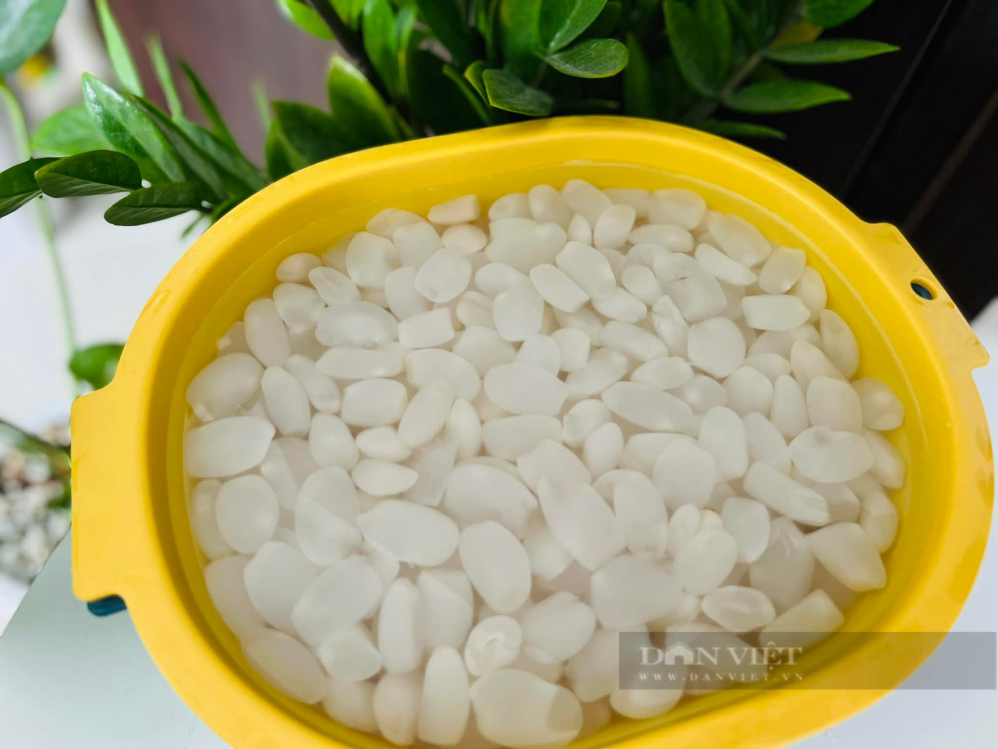 Cách rim hạt đác đủ vị, bảo quản được lâu - Ảnh 3. Cách rim hạt đác đủ vị, bảo quản được lâu - Ảnh 3.
