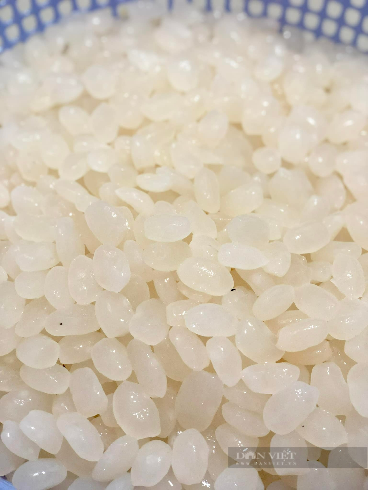 Cách rim hạt đác đủ vị, bảo quản được lâu - Ảnh 4. Cách rim hạt đác đủ vị, bảo quản được lâu - Ảnh 4.
