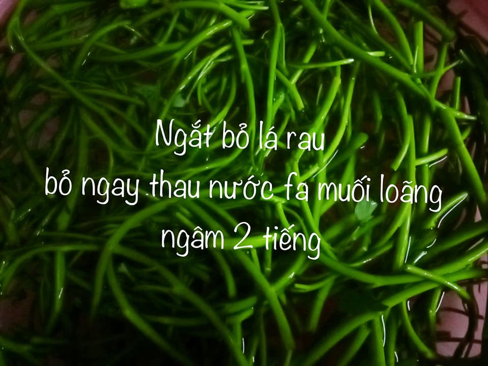 Mẹo nhỏ làm dưa rau muống chua ngọt giòn vàng bắt mắt - Ảnh 2.