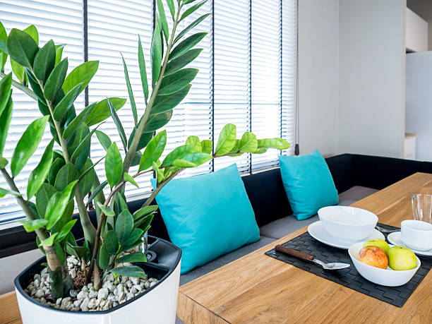 Tháng 6, 5 cây cảnh bừng bừng sức sống, cho "ăn" no đủ là phát triển như vũ bão - Ảnh 8.