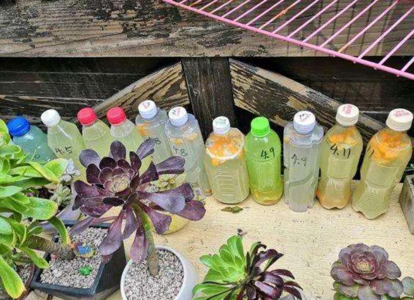 Tự chế phân bón cho cây cảnh, không tốn 1 xu, đạm, lân, kali đều dễ kiếm - Ảnh 4.