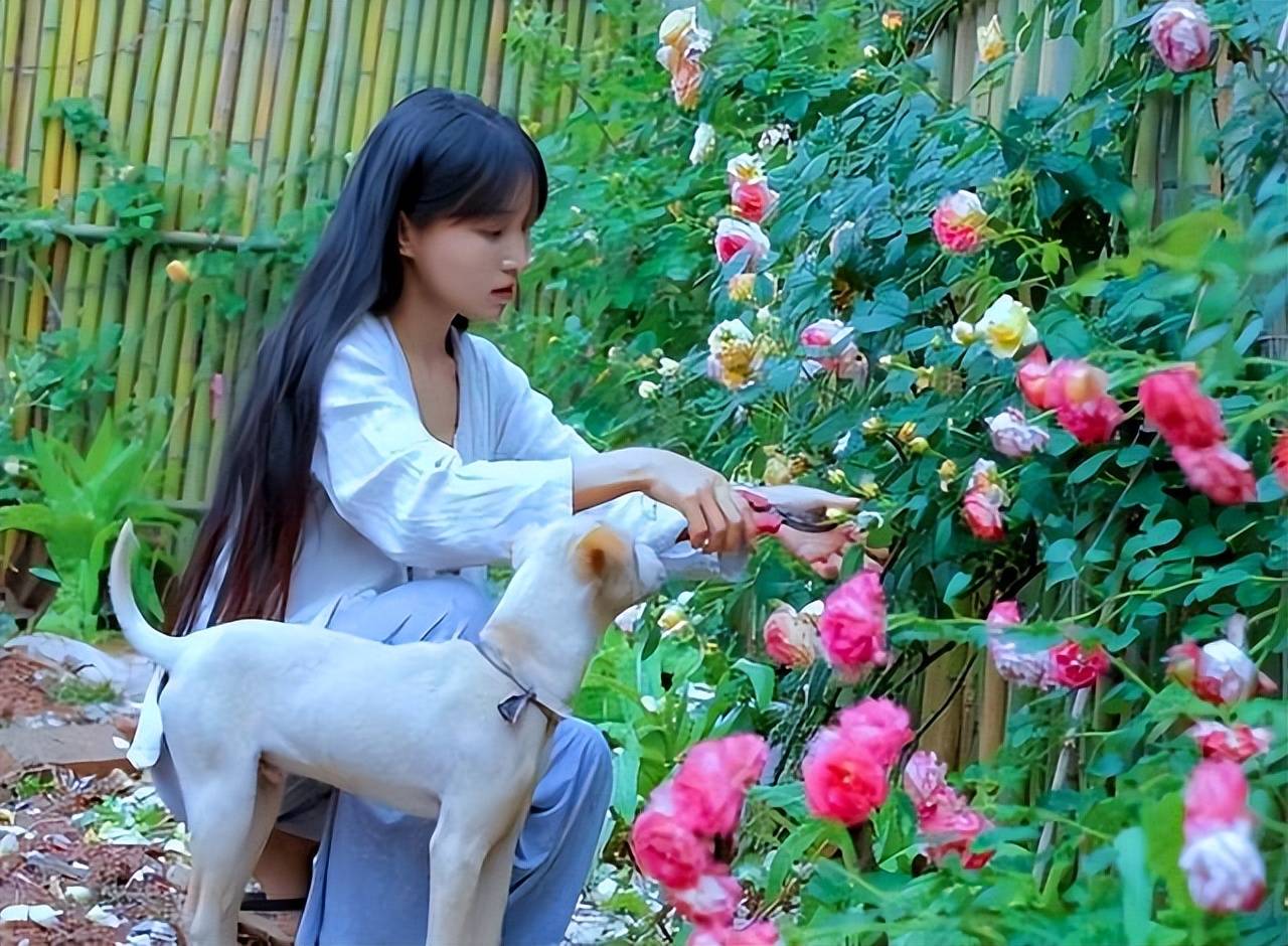 Tự chế phân bón cho cây cảnh, không tốn 1 xu, đạm, lân, kali đều dễ kiếm - Ảnh 6.