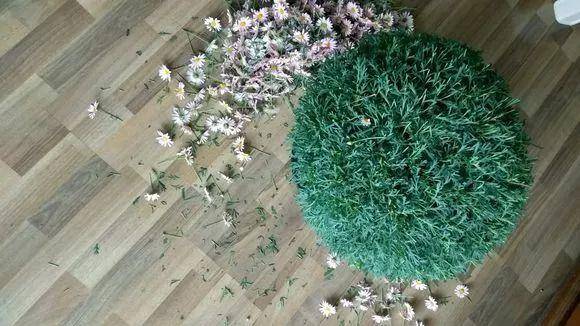 4 cây cảnh phải "cạo đầu, đập nồi" trong mùa hè mới có thể xanh tốt, nở hoa rực rỡ - Ảnh 5.