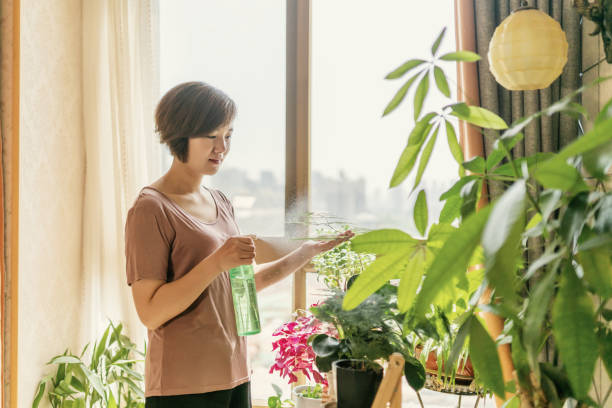 3 cây cảnh "nở hoa như ý", hoa nở báo điềm lành, may mắn đến cửa, tài lộc vào nhà - Ảnh 1.