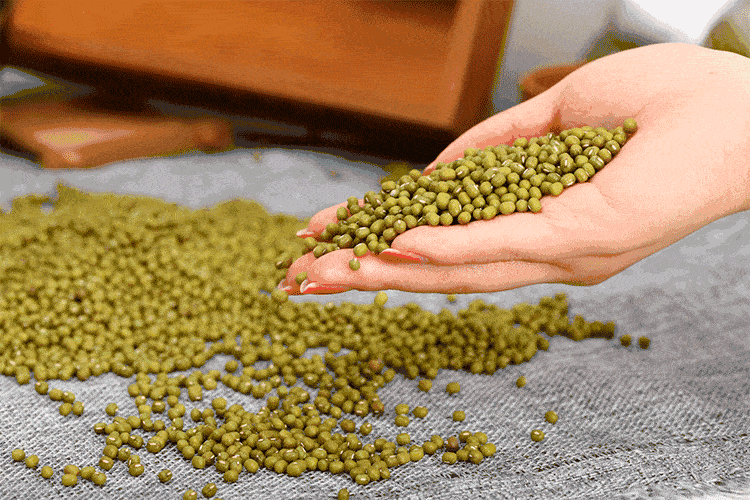 Nấu chè đậu xanh cho ngay vào nồi nước là sai lầm, thêm bước này chỉ cần 10 phút đậu mềm tơi - Ảnh 2. Nấu chè đậu xanh cho ngay vào nồi nước là sai lầm, thêm bước này chỉ cần 10 phút đậu mềm tơi - Ảnh 2.
