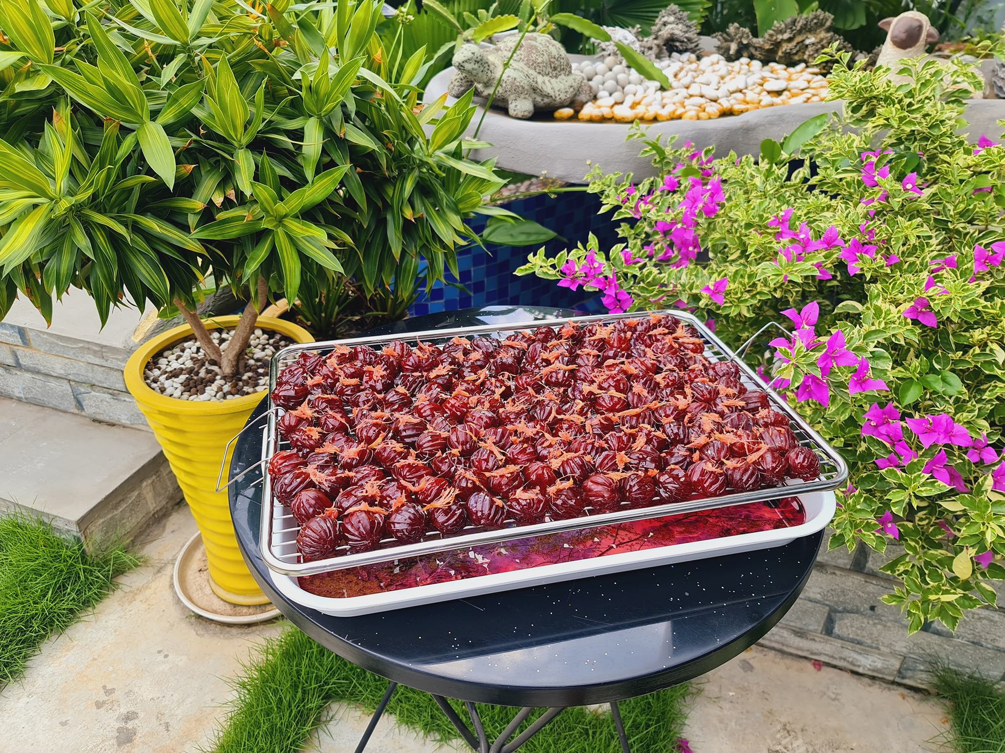 Đang mùa mận, làm ô mai mận xào gừng dẻo thơm không cần nước vôi trong - Ảnh 8. Đang mùa mận, làm ô mai mận xào gừng dẻo thơm không cần nước vôi trong - Ảnh 8.