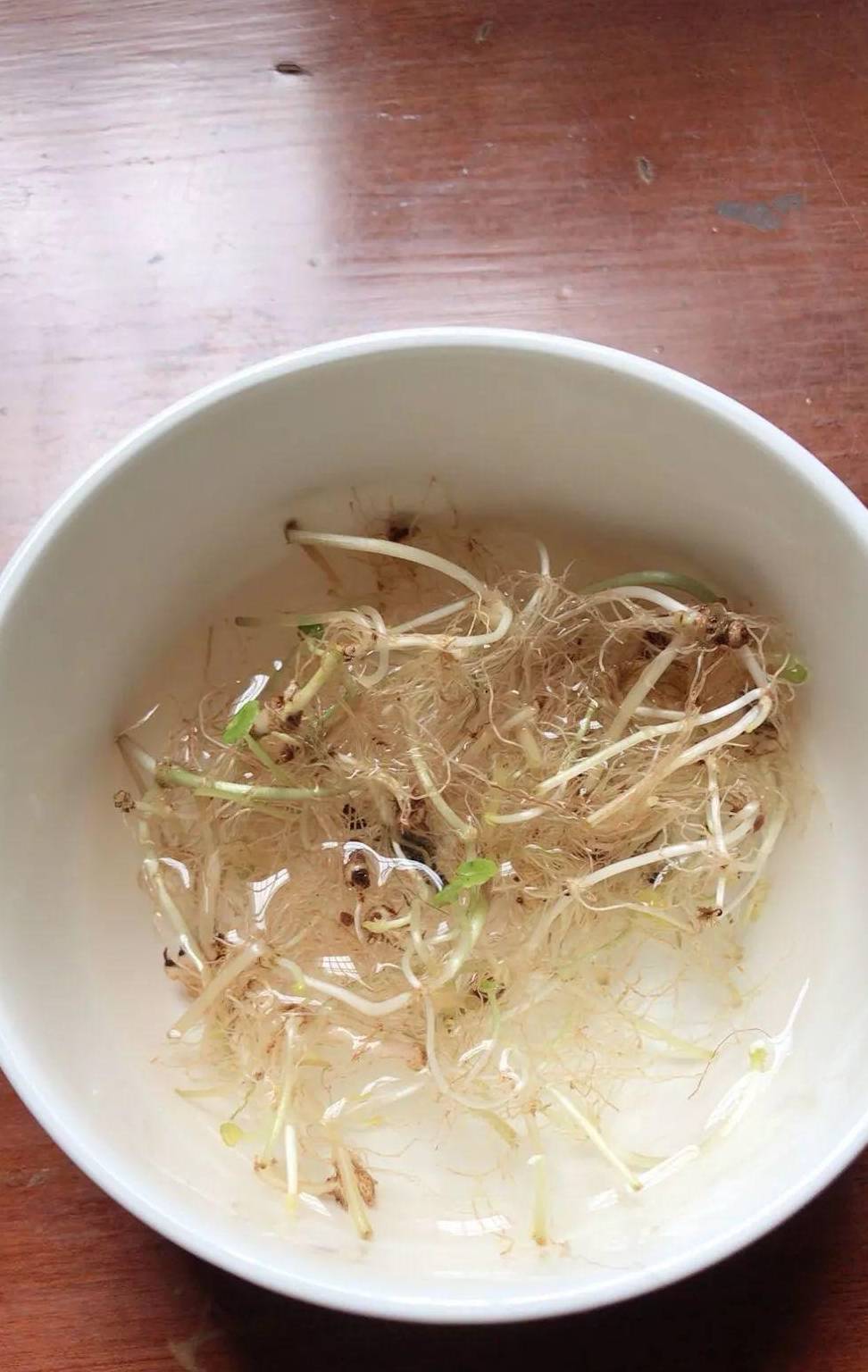 Mùa hè nóng bức, quẳng ngay cây cảnh nào vào nước, cây sống khỏe, người nhàn nhã - Ảnh 2.