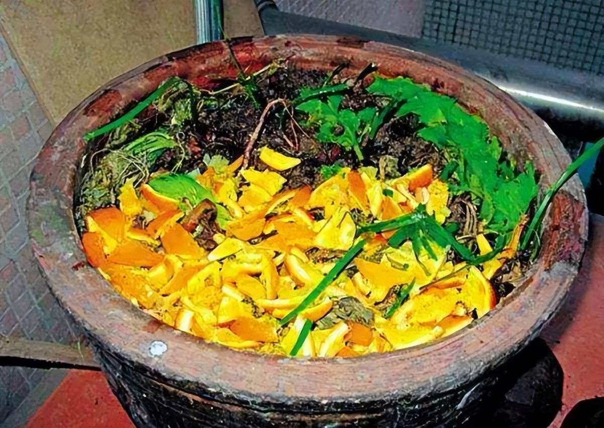 Đừng vội vứt "thần dược" tốt cho cây cảnh, có thể giúp lá xanh tươi, hoa rực rỡ, tràn đầy sức sống - Ảnh 5.