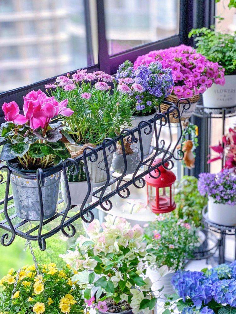 3 cây cảnh đẹp lạ cho nhà thiếu ánh nắng, ban công kín mít, hoa lá nhìn góc nào cũng thích - Ảnh 1.