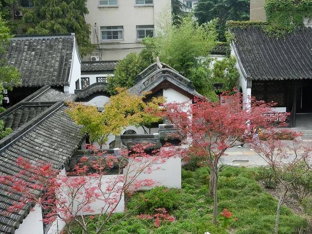 Trong vườn mùa thu, trồng 4 cây cảnh này để mãn nhãn với hoa thơm cảnh đẹp - Ảnh 6.