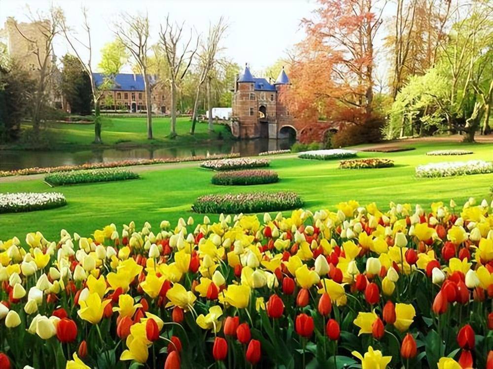 Trong vườn mùa thu, trồng 4 cây cảnh này để mãn nhãn với hoa thơm cảnh đẹp - Ảnh 8.