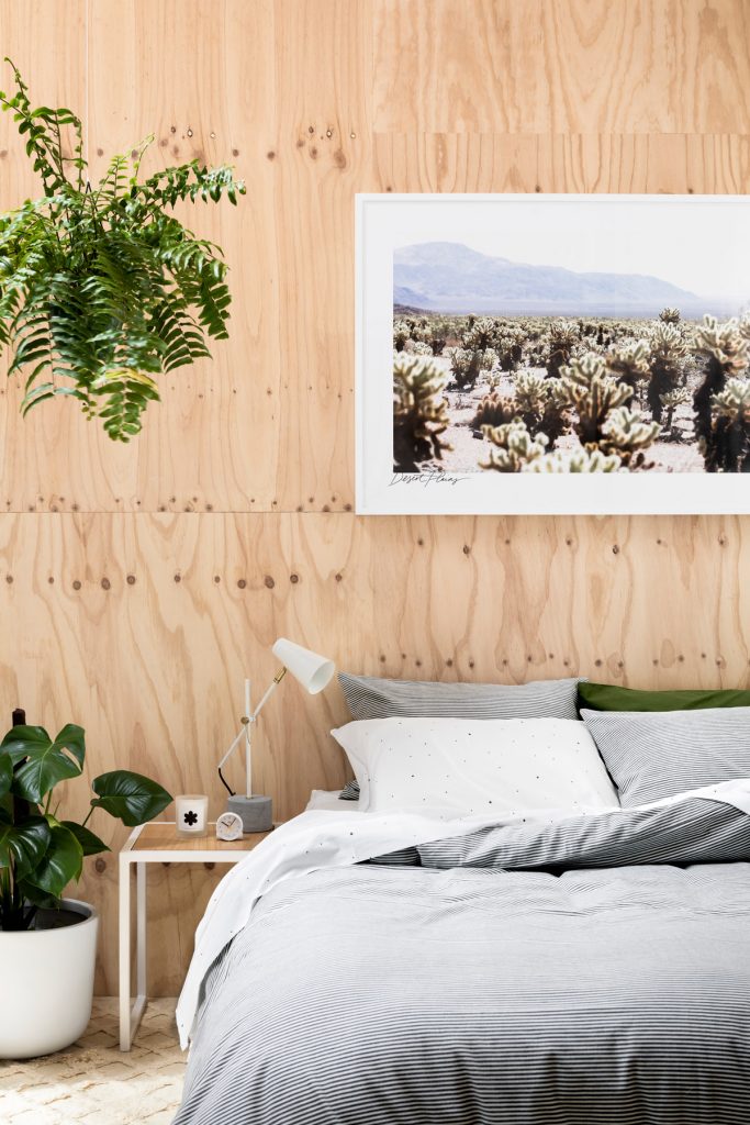 Trồng cây cảnh trong nhà, muốn dưỡng người, hút lộc, chiêu tài phải lưu ý những điều này - Ảnh 1. Trồng cây cảnh trong nhà, muốn dưỡng người, hút lộc, chiêu tài phải lưu ý những điều này - Ảnh 1.