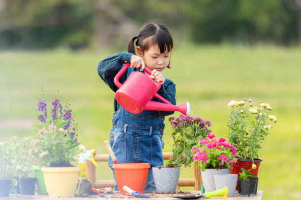 Trồng cây cảnh 10 năm mới biết cách tưới nước, nói vậy chẳng ngoa chút nào - Ảnh 4. Trồng cây cảnh 10 năm mới biết cách tưới nước, nói vậy chẳng ngoa chút nào - Ảnh 4.