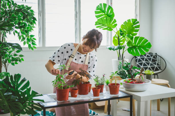 Trồng cây cảnh 10 năm mới biết cách tưới nước, nói vậy chẳng ngoa chút nào - Ảnh 8. Trồng cây cảnh 10 năm mới biết cách tưới nước, nói vậy chẳng ngoa chút nào - Ảnh 8.