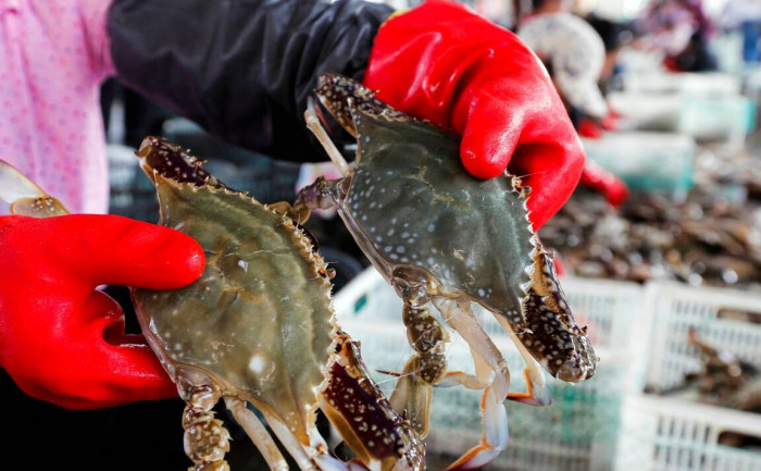 Đi chợ mua ghẹ nhất định phải ghi nhớ điều này kẻo tiền mất tật mang - Ảnh 1.