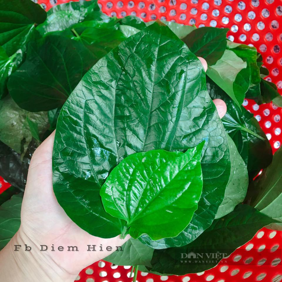 Bỏ túi cách làm bò nướng lá lốt mỡ chài thơm ngon, không bị khô - Ảnh 3.