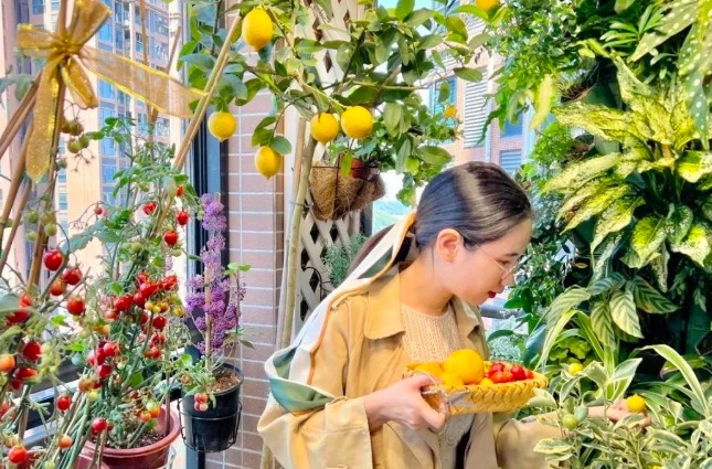 Ghen tị với ban công ngập cây cảnh, hoa trái 4 mùa của cặp vợ chồng 9X - Ảnh 14. Ghen tị với ban công ngập cây cảnh, hoa trái 4 mùa của cặp vợ chồng 9X - Ảnh 14.