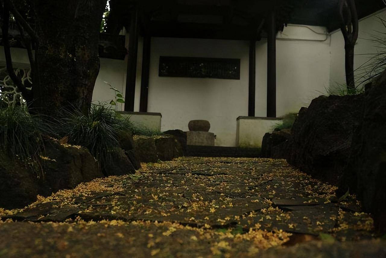 Muốn cây cảnh đặc biệt này kéo dài mùa hoa thơm ngát, khi chăm sóc nhớ 3 điều này - Ảnh 2. Muốn cây cảnh đặc biệt này kéo dài mùa hoa thơm ngát, khi chăm sóc nhớ 3 điều này - Ảnh 2.