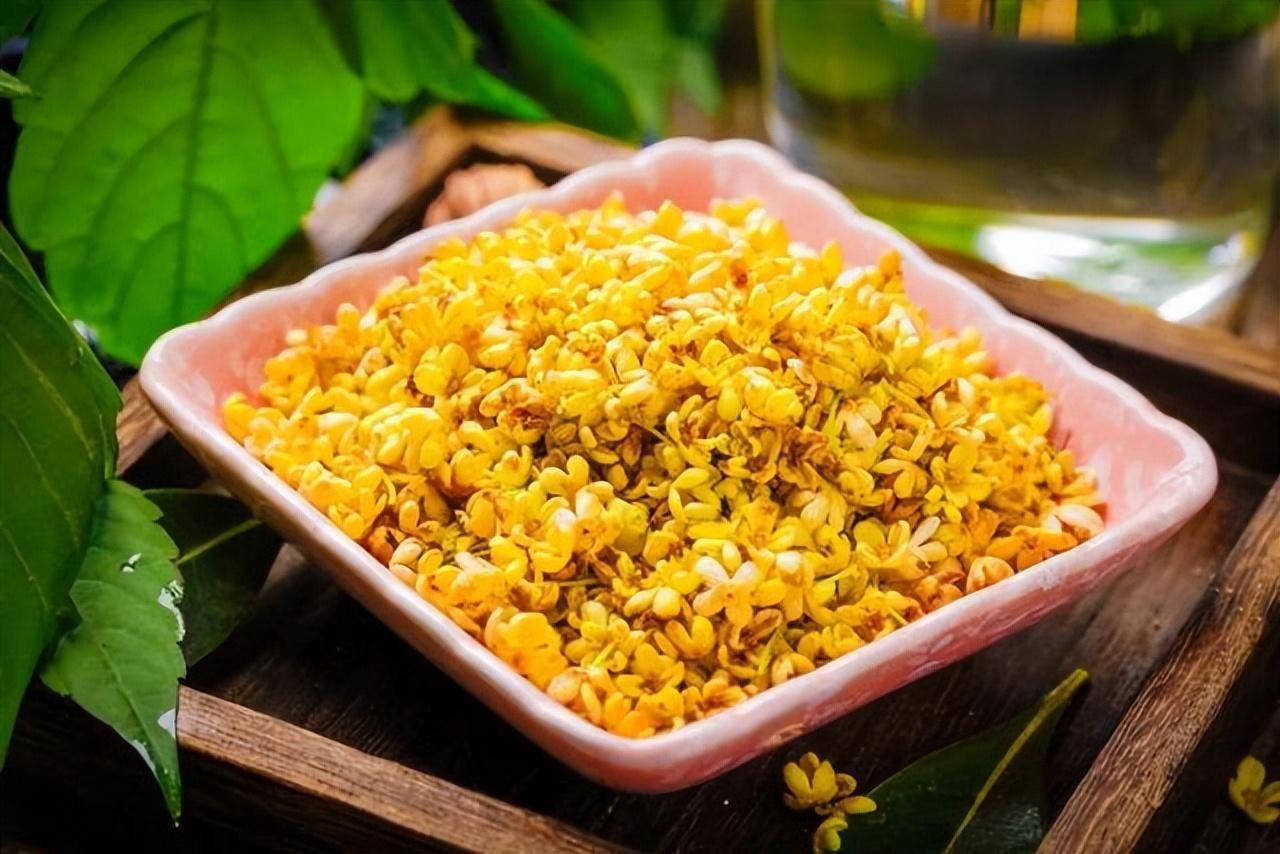 Muốn cây cảnh đặc biệt này kéo dài mùa hoa thơm ngát, khi chăm sóc nhớ 3 điều này - Ảnh 4. Muốn cây cảnh đặc biệt này kéo dài mùa hoa thơm ngát, khi chăm sóc nhớ 3 điều này - Ảnh 4.