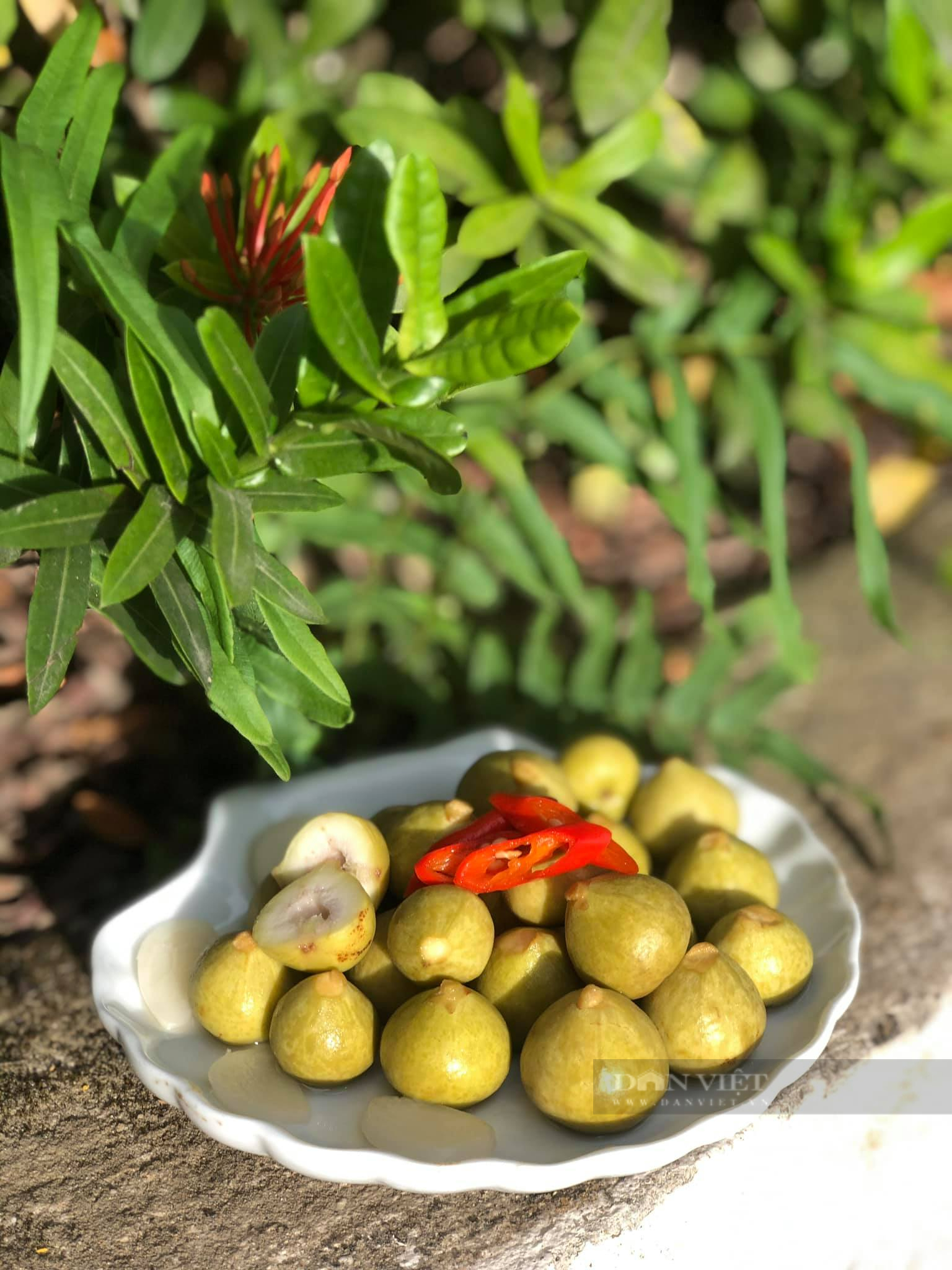 Bỏ túi 2 cách muối sung giòn ngon, không thâm, không đắng chát - Ảnh 10.
