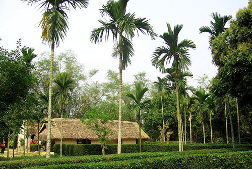 Những loài cây trong tháng 7 âm lịch cần đặt trong nhà để bình an, may mắn  - Ảnh 1.