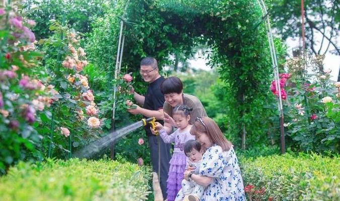 Có khu vườn đẹp như mơ, cảm nhận bốn mùa trôi qua đầy màu sắc là mơ ước của mỗi người - Ảnh 8. Có khu vườn đẹp như mơ, cảm nhận bốn mùa trôi qua đầy màu sắc là mơ ước của mỗi người - Ảnh 8.