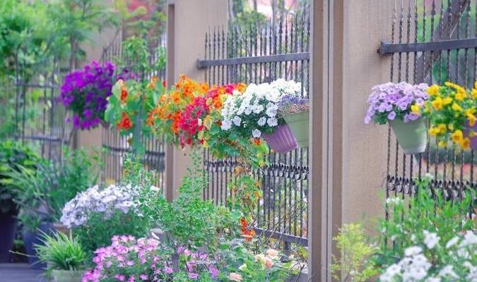 Có khu vườn đẹp như mơ, cảm nhận bốn mùa trôi qua đầy màu sắc là mơ ước của mỗi người - Ảnh 2. Có khu vườn đẹp như mơ, cảm nhận bốn mùa trôi qua đầy màu sắc là mơ ước của mỗi người - Ảnh 2.