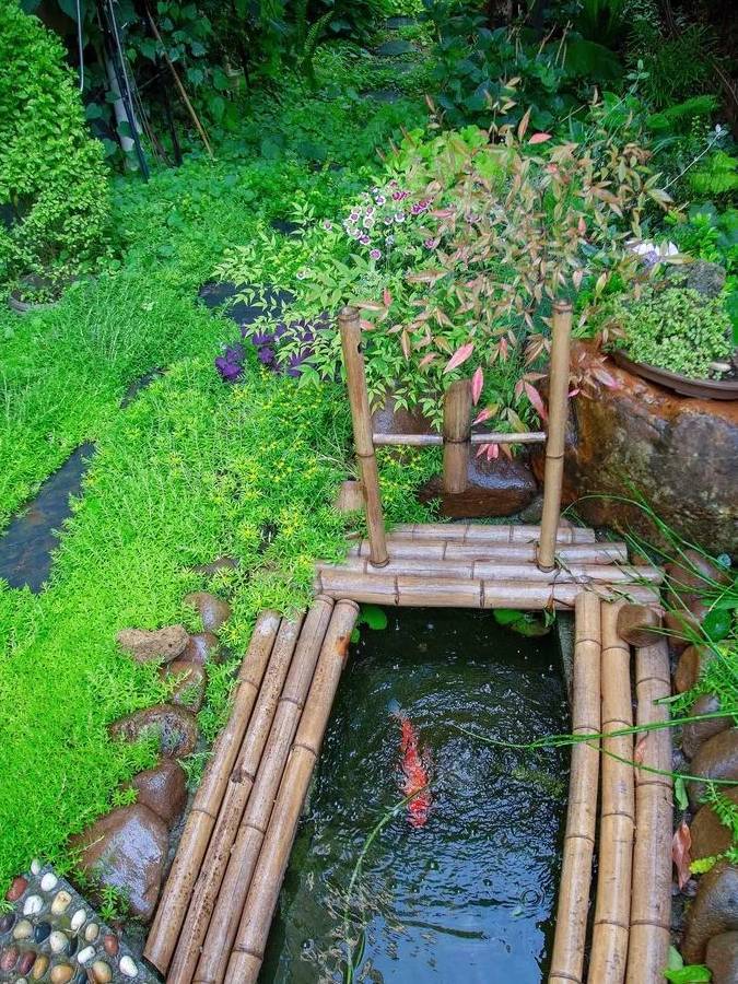Có khu vườn đẹp như mơ, cảm nhận bốn mùa trôi qua đầy màu sắc là mơ ước của mỗi người - Ảnh 9. Có khu vườn đẹp như mơ, cảm nhận bốn mùa trôi qua đầy màu sắc là mơ ước của mỗi người - Ảnh 9.