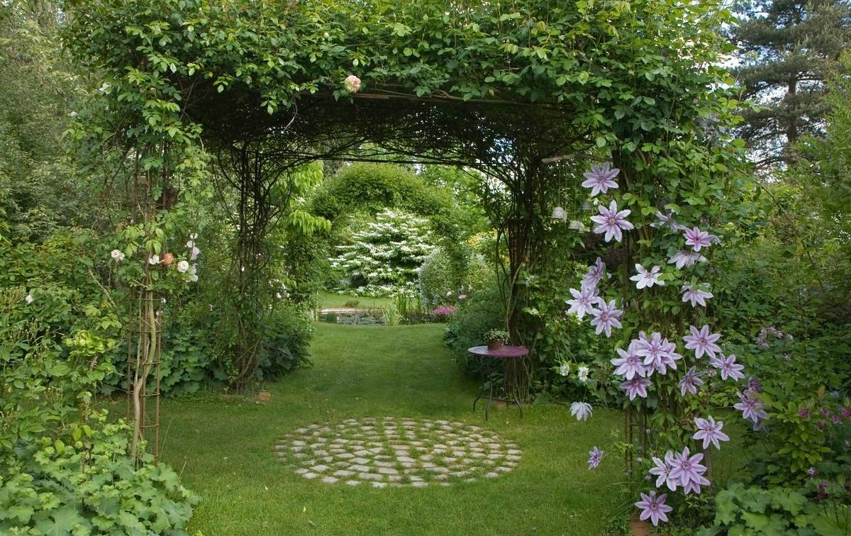 Cây cảnh "báu vật của khu vườn", hoa nở bất tận từ xuân sang thu, lộng lẫy muôn màu - Ảnh 1.