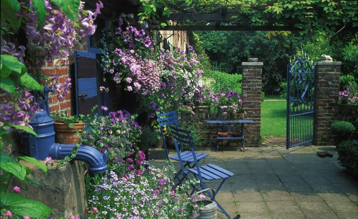 Cây cảnh "báu vật của khu vườn", hoa nở bất tận từ xuân sang thu, lộng lẫy muôn màu - Ảnh 9.