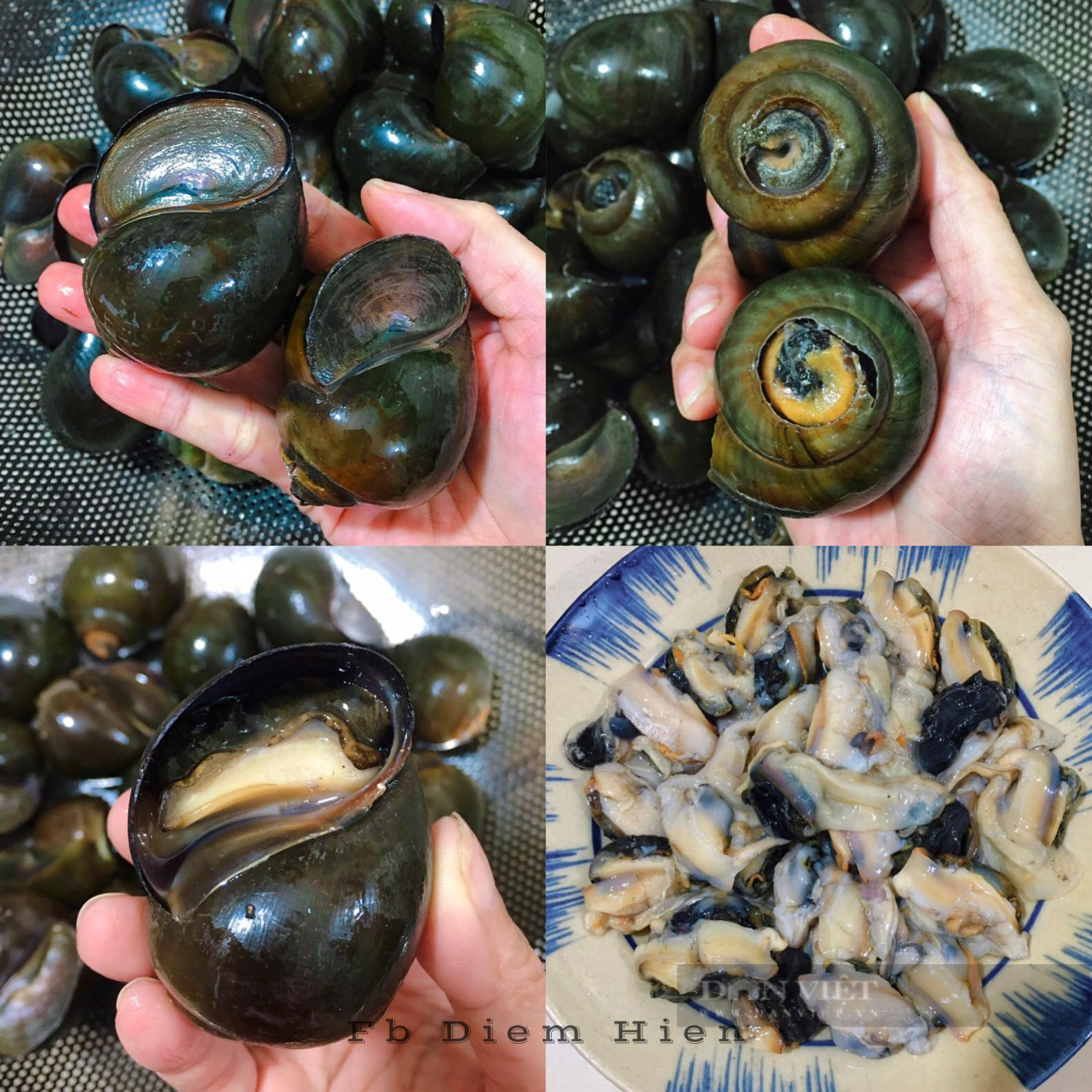 Muốn làm món ốc nhồi thịt hấp lá gừng thơm ngon hấp dẫn đừng bỏ qua bước này - Ảnh 2.