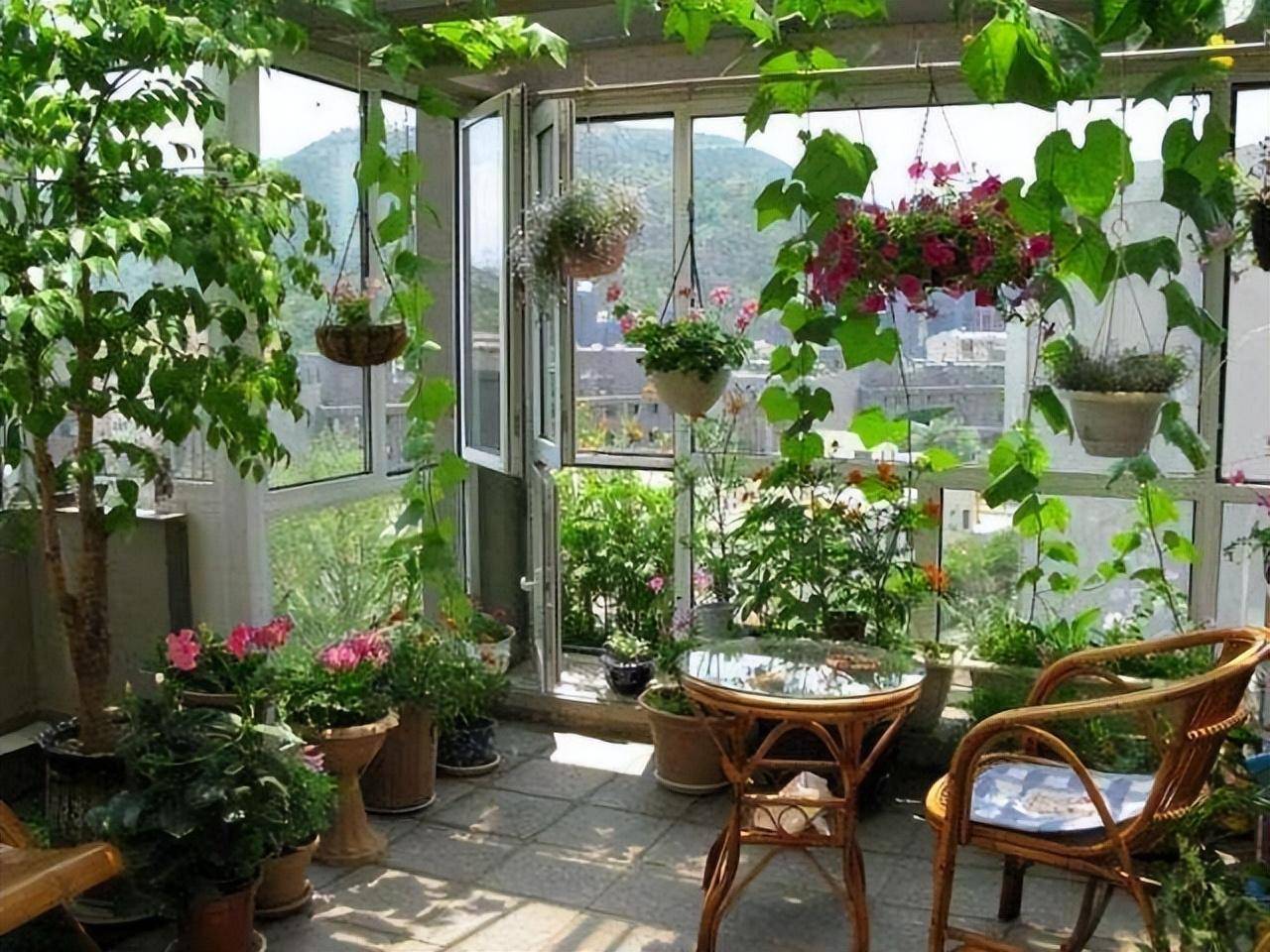 Tháng 9, 6 điều cần làm cho cây cảnh để hoa nở vỡ chậu, lá xanh mãn nhãn vào cuối năm - Ảnh 8. Tháng 9, 6 điều cần làm cho cây cảnh để hoa nở vỡ chậu, lá xanh mãn nhãn vào cuối năm - Ảnh 8.