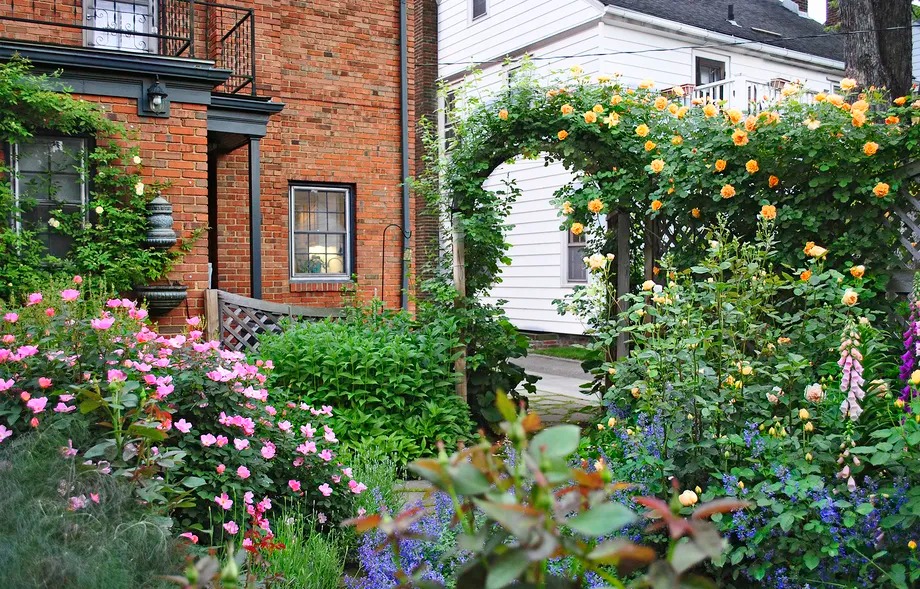 Biến sân nhỏ thành khu vườn mãn nhãn với cây cảnh "nữ hoàng", ai thấy cũng mê mẩn - Ảnh 6.