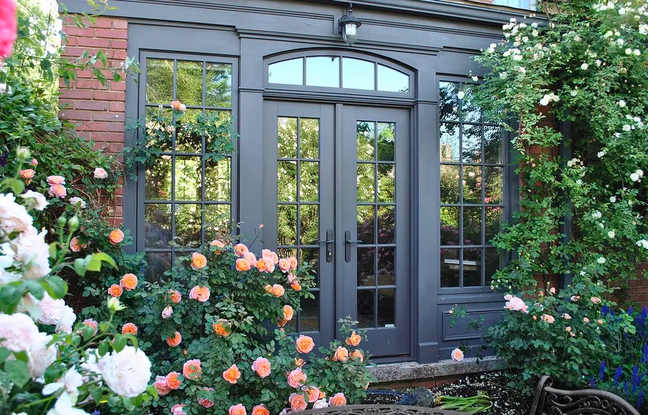 Chế "thần dược" tạo rễ, tăng sức mạnh cho cây cảnh chỉ bằng cách trộn 2 thứ dễ kiếm này - Ảnh 7.