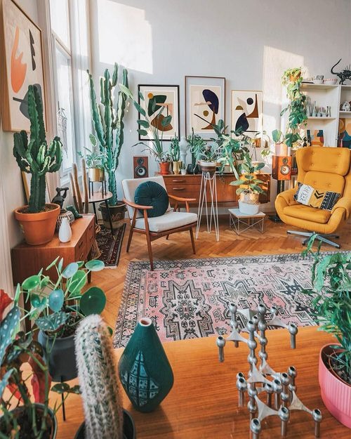 Trồng cây cảnh để chiêu tài, hút lộc, sức khỏe dồi dào cho gia đình cần lưu ý kiêng kỵ phong thủy này - Ảnh 12.